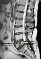 Click image for larger version

Name:	My back pc.png
Views:	257
Size:	124.5 KB
ID:	36703